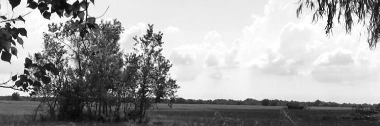 AlilbitofHart's profile banner image