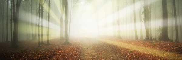 TheOtherRealms Profile Banner