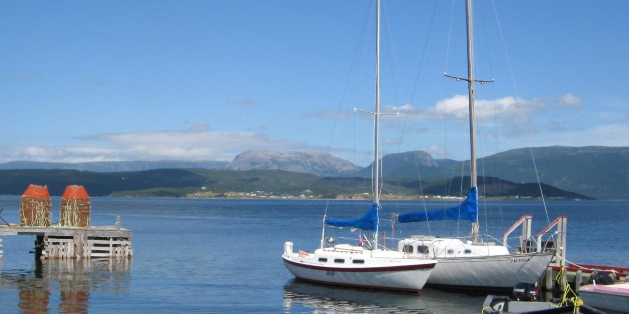 WoodyPointNL's profile banner image