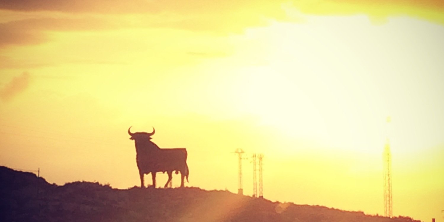 SamRichx's profile banner image