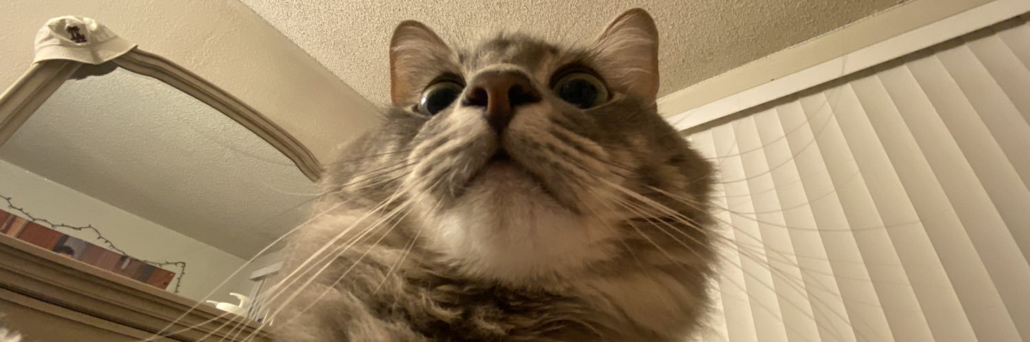 maddisonelainee's profile banner image