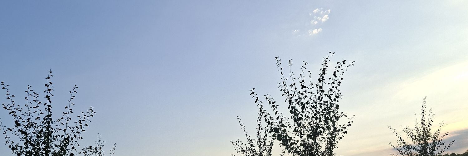 nikolasimpson's profile banner image