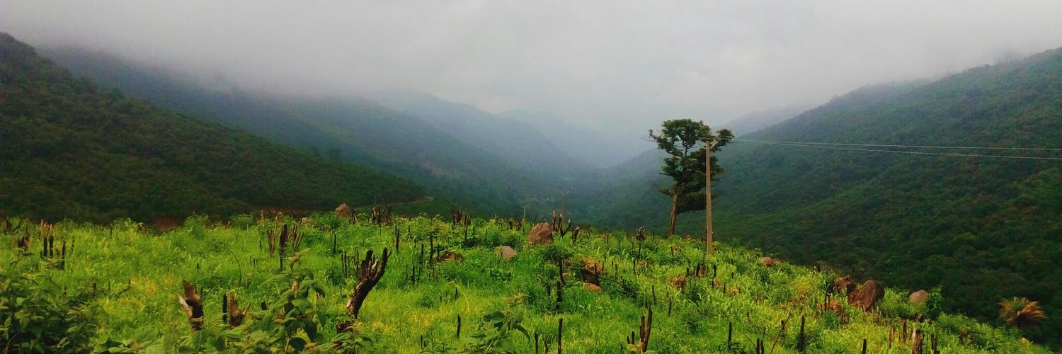 ShreeyankaC's profile banner image