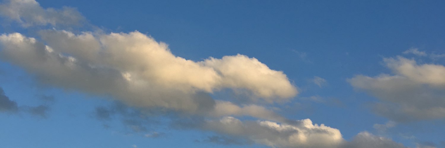 Gabriel Luft banner