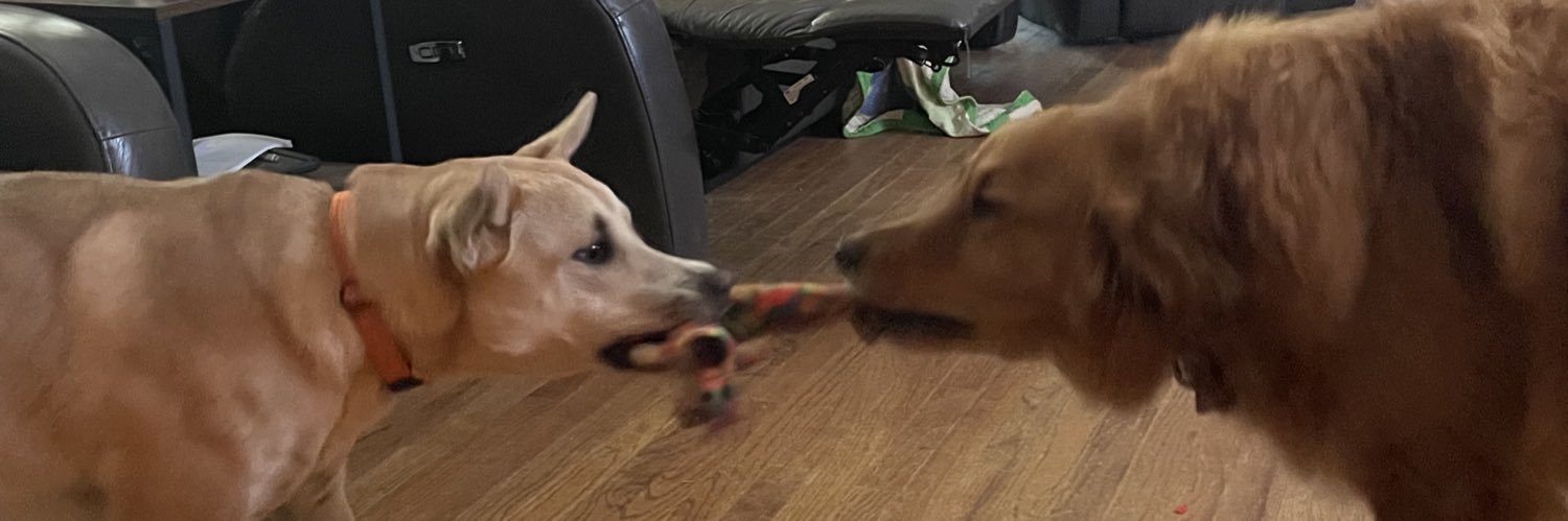 SamBuddyAngelTank andHoss banner