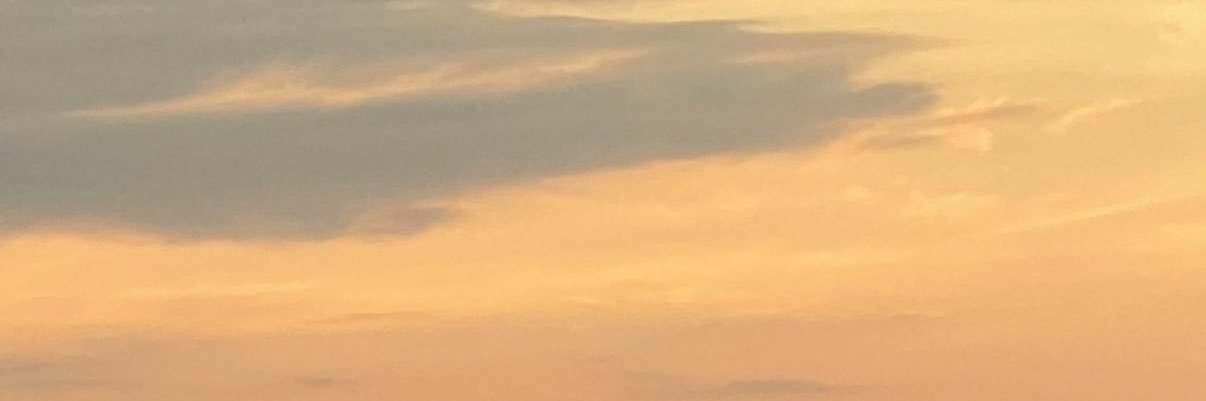 widrb banner