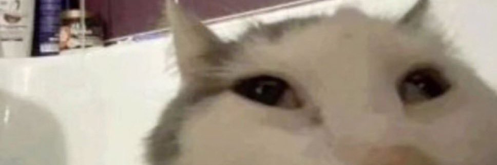 Leejit_'s profile banner image