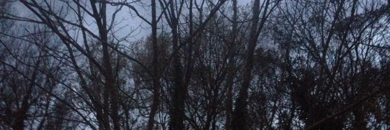 _disc0rdant's profile banner image