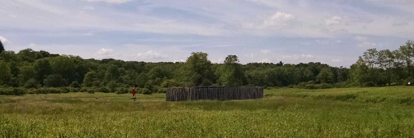 FtNecessityNPS's profile banner image