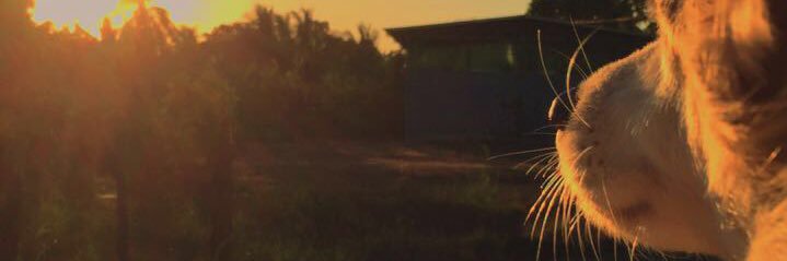 itsapjm_'s profile banner image