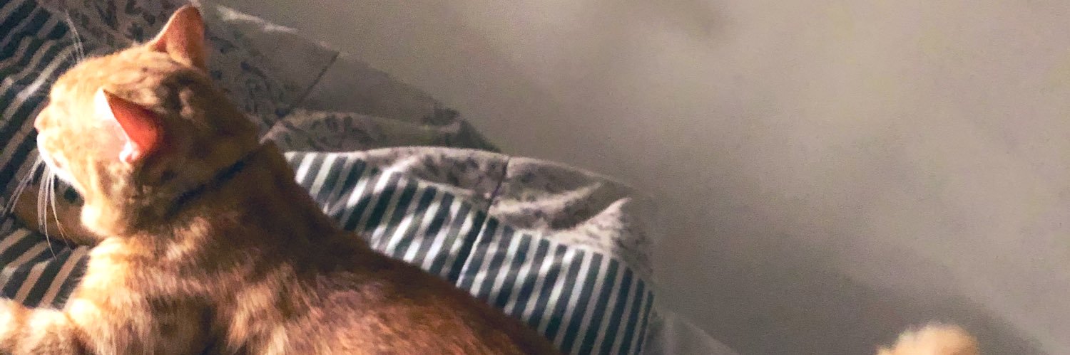 lashkarnando_'s profile banner image