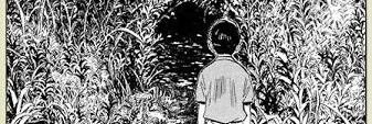 akaisuatama's profile banner image