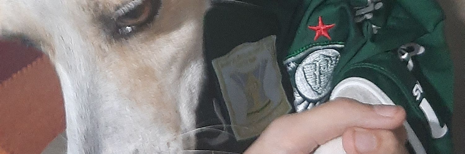 sjohnharison's profile banner image