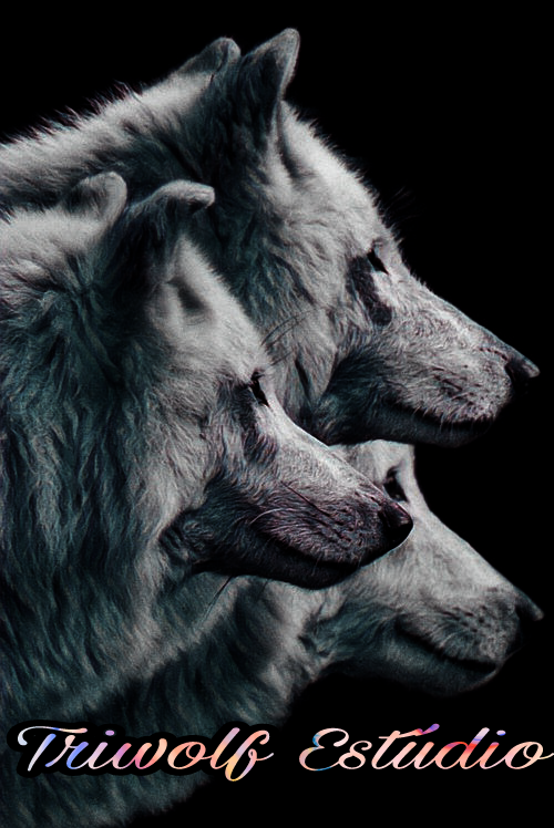 3DeT's profile banner image