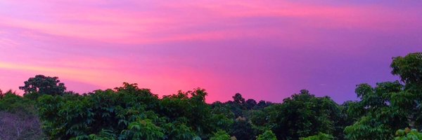 Devrajsinghk Profile Banner