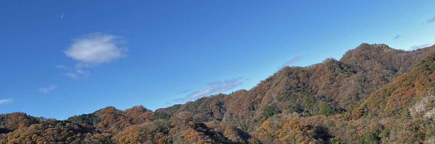 くろねこ banner