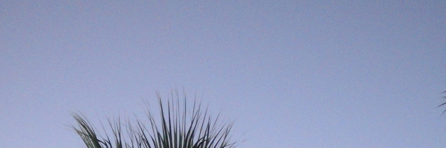 godikian's profile banner image