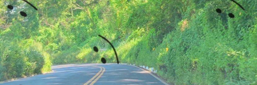 Welrylemos's profile banner image