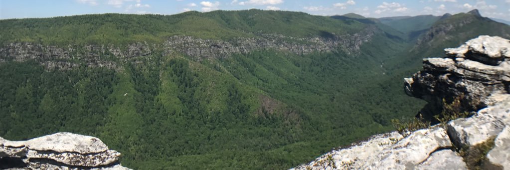 Mikey Johnson banner