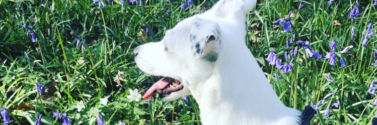 EmilyHawkinss's profile banner image