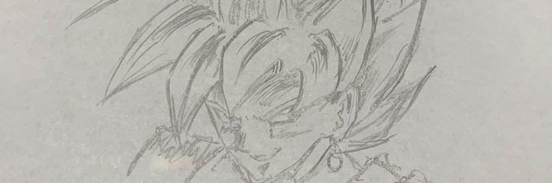 danzaisya3's profile banner image