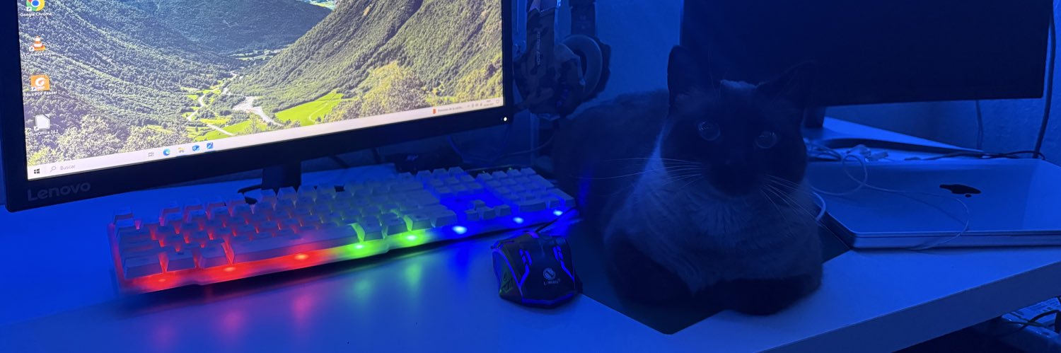 guuuti98's profile banner image
