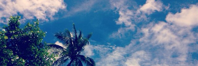 ashalehemma's profile banner image