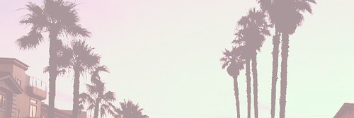 EndlessHope__'s profile banner image