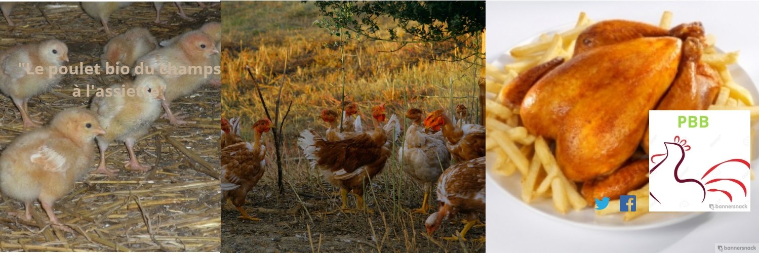 PouletBioB's profile banner image