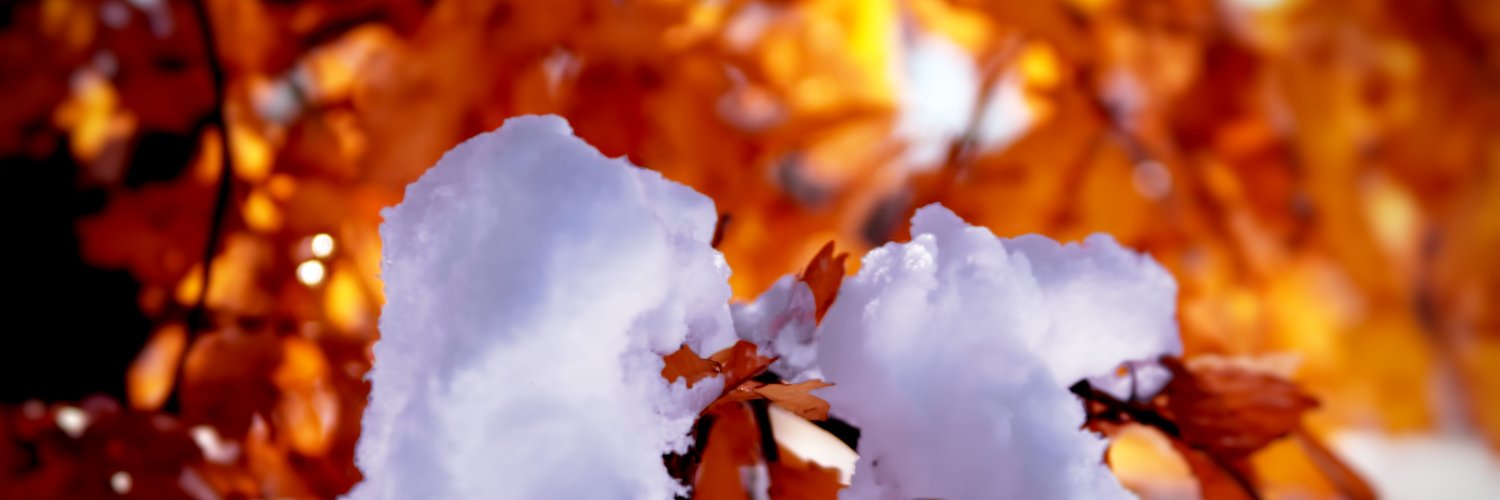 ChristinDWhite's profile banner image