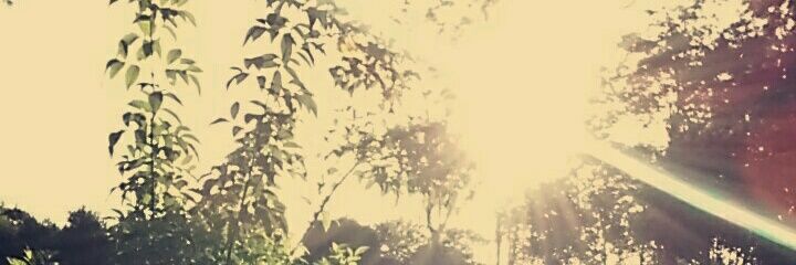 97Alexandracm's profile banner image