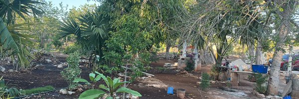 regner_x Profile Banner