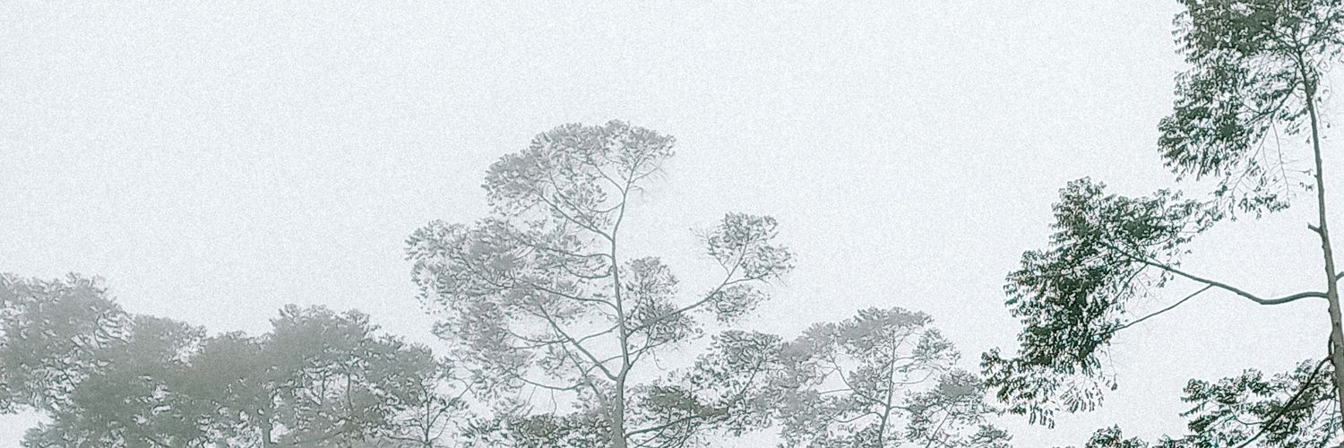 qusnullq's profile banner image