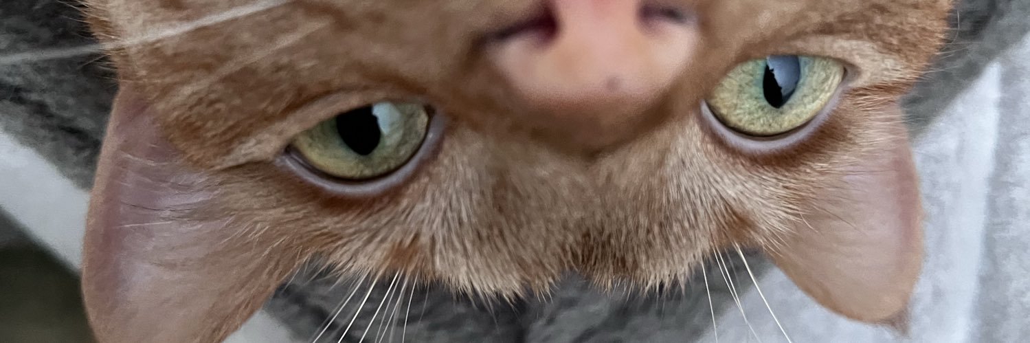 sgtyeezy's profile banner image