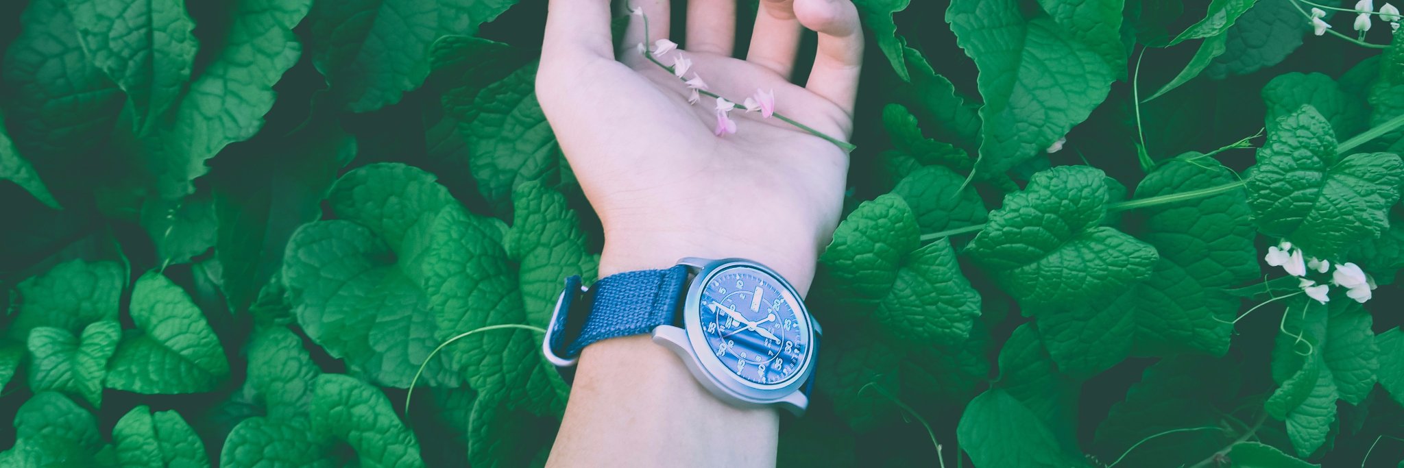 PeacefulGadget's profile banner image