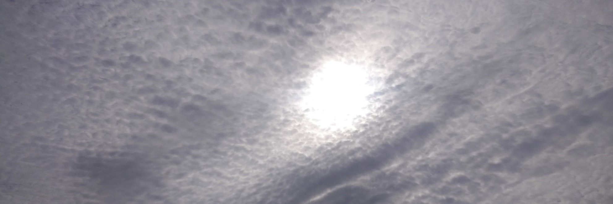 David Sarikyan banner