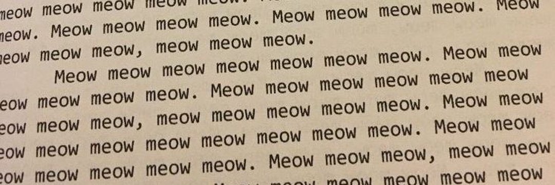 apin bojone sungchan banner