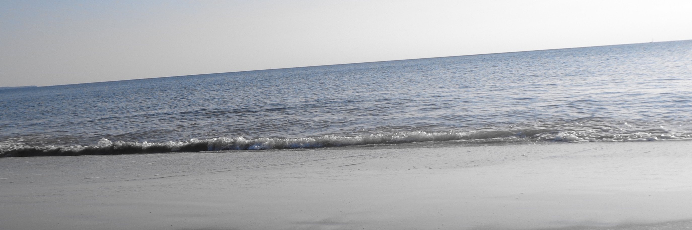 Ol_Magic's profile banner image