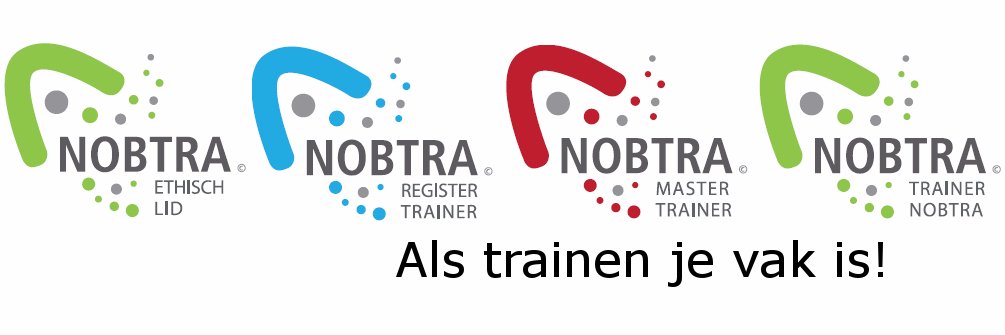 NOBTRA's profile banner image