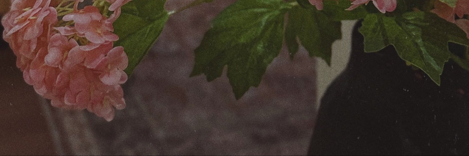 _sarabalushi's profile banner image