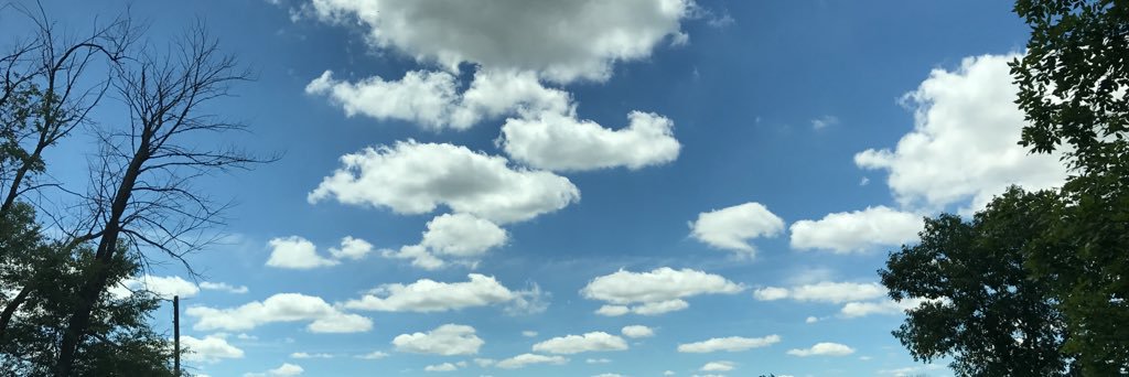 sasp_503's profile banner image