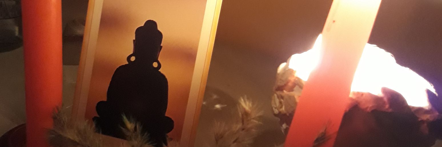 cheersdarlinn's profile banner image