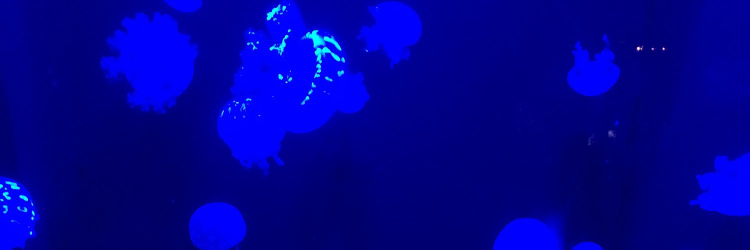 Nle_tlc's profile banner image