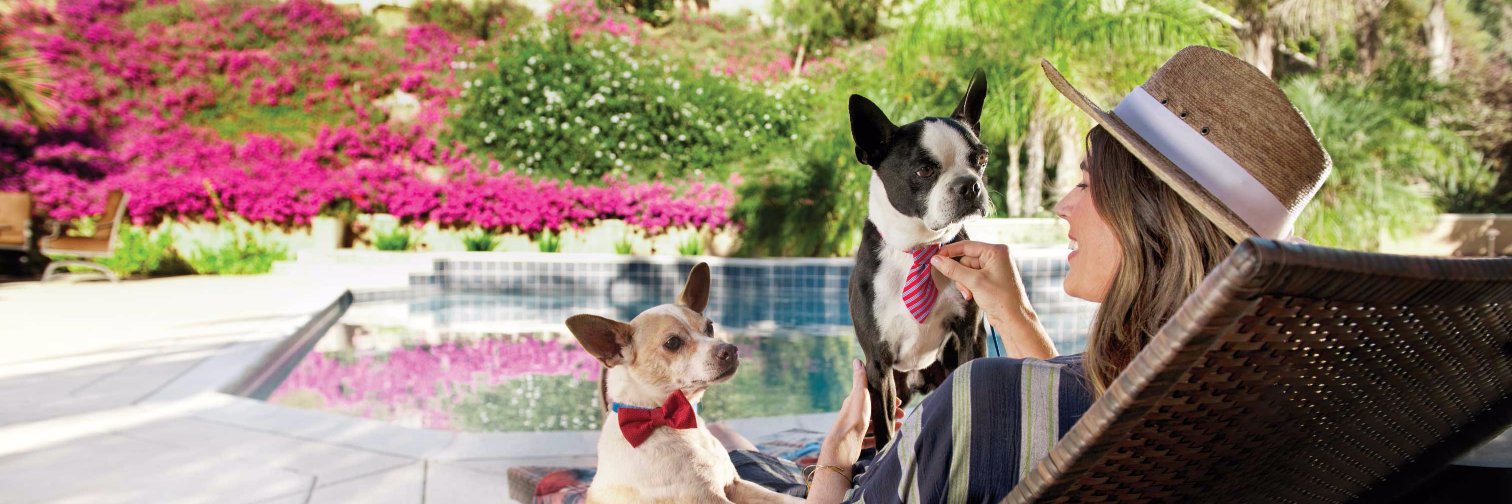 Unleashed by Petco banner