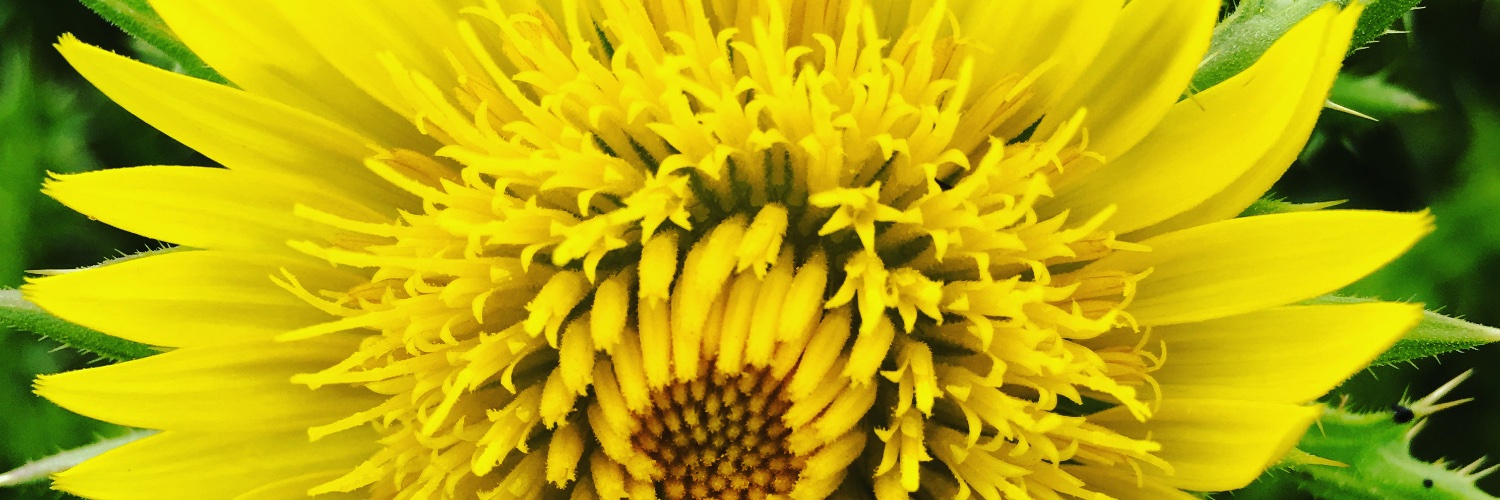 Busimagubane's profile banner image
