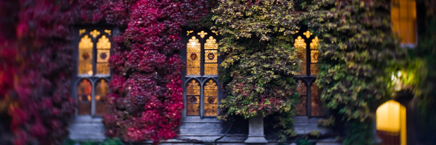 Dr Nitzan Peri-Rotem banner