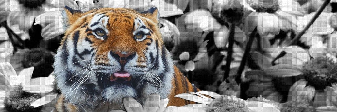 ayahhhh_'s profile banner image