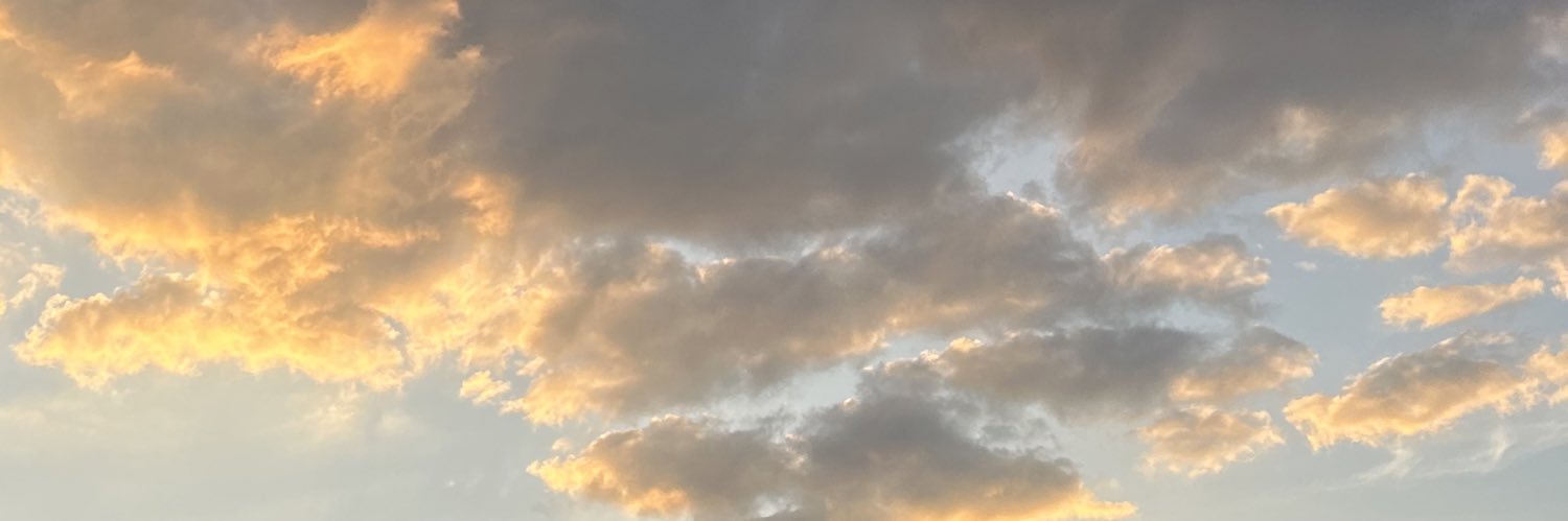 elizabeth banner