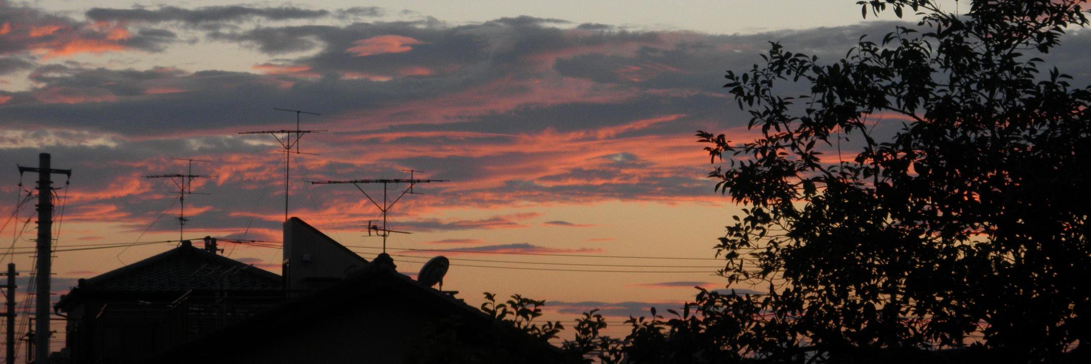 カノヴァミ＠お試し版 banner