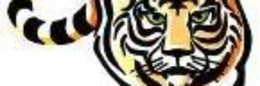 Angel Dominguez banner